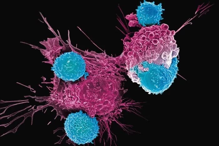 CAR-T cells attacking cancer